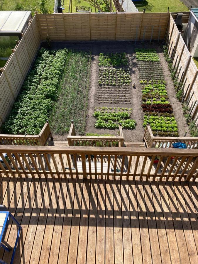 Appartement Meuble 加来 外观 照片